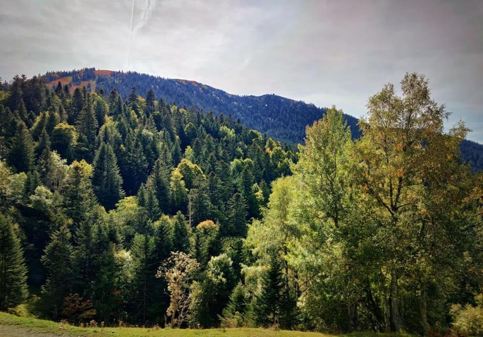 Logement 6 Pers Au Coeur Des Montagnes Pyreneennes Linge De Maison Et Papier Toilette Non Fournis Boutx Экстерьер фото